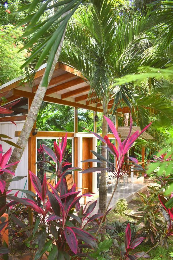 Fuego Lodge Playa Santa Teresa  Esterno foto